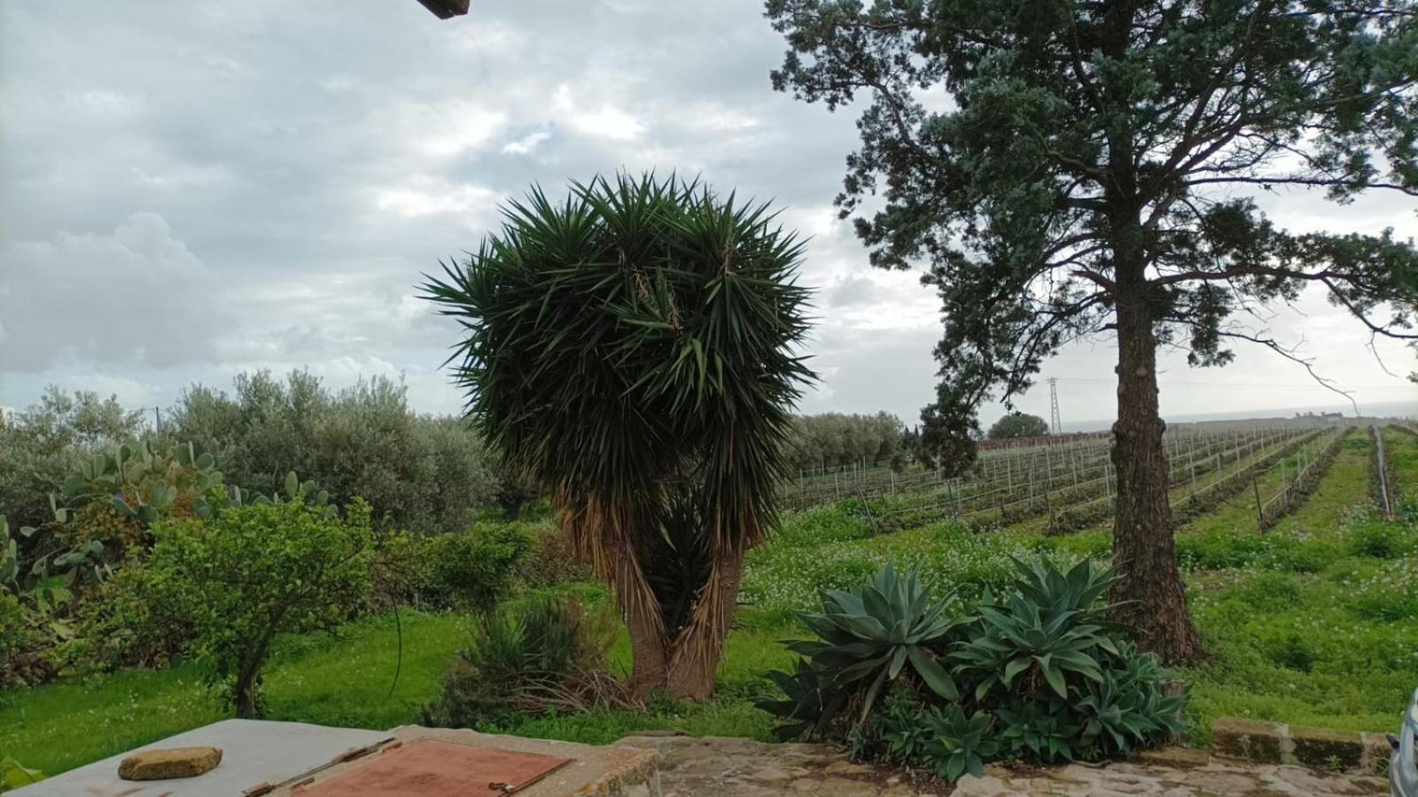 Casa Bouganville Villetta Tra Le Vigne E Il Mare メンフィ エクステリア 写真