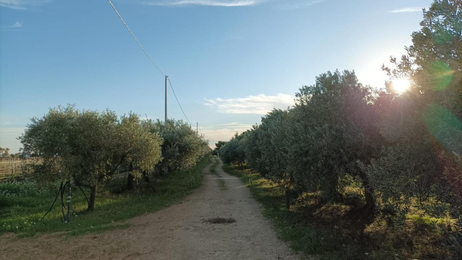 Casa Bouganville Villetta Tra Le Vigne E Il Mare メンフィ エクステリア 写真